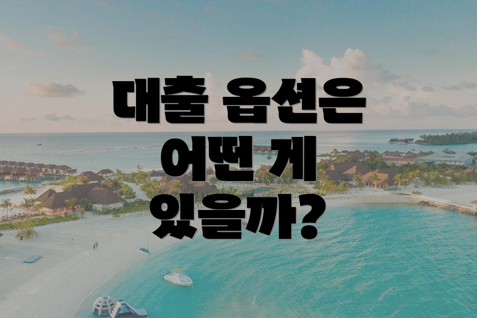 대출 옵션은 어떤 게 있을까?
