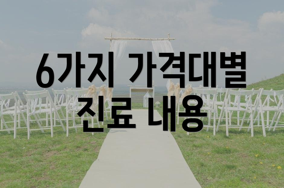 6가지 가격대별 진료 내용