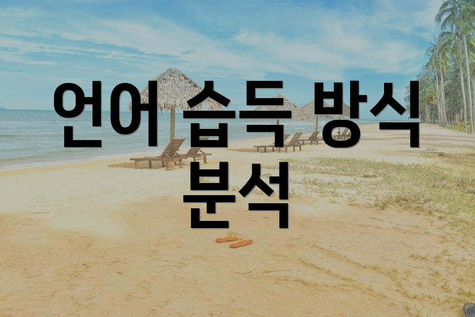 언어 습득 방식 분석