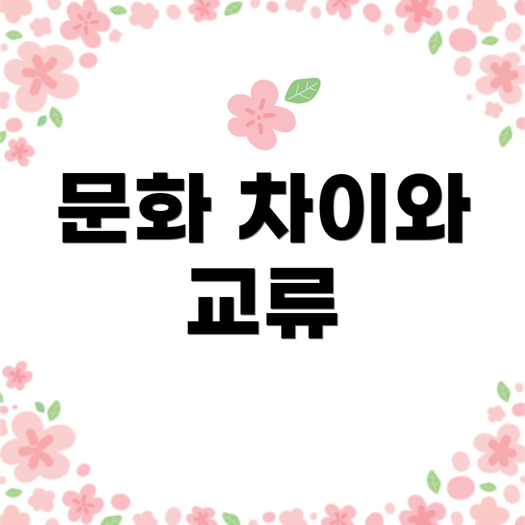 문화 차이와 교류