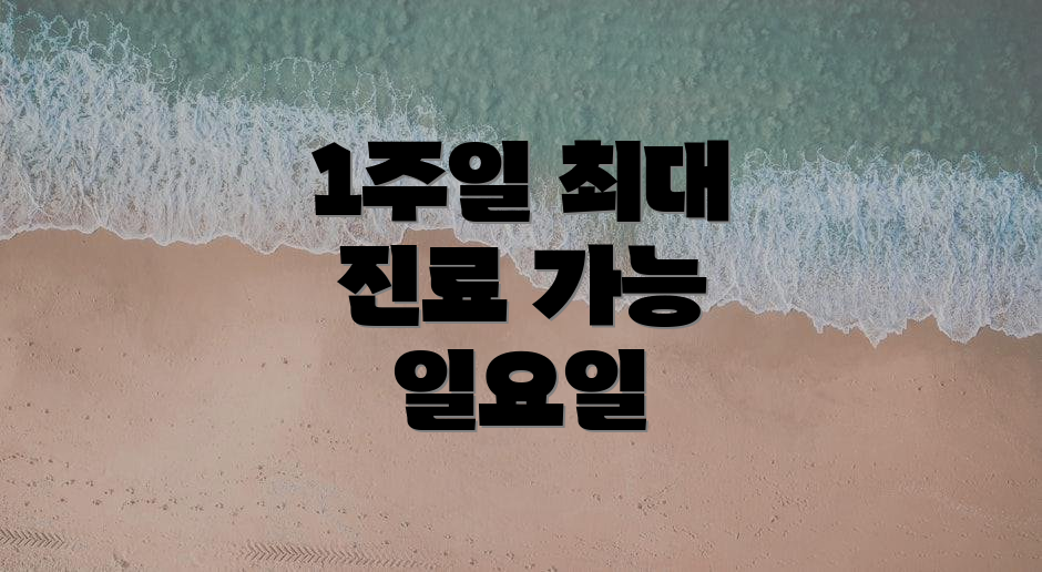 1주일 최대 진료 가능 일요일