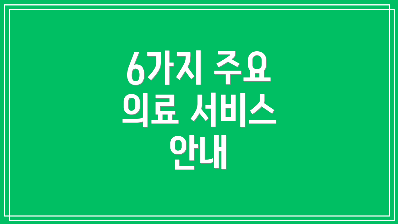 6가지 주요 의료 서비스 안내