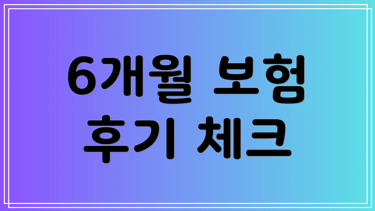 6개월 보험 후기 체크