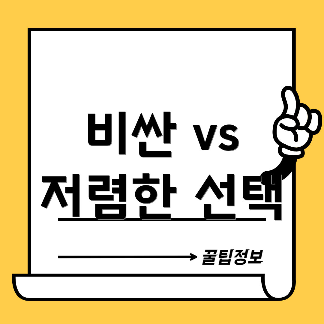비싼 vs 저렴한 선택