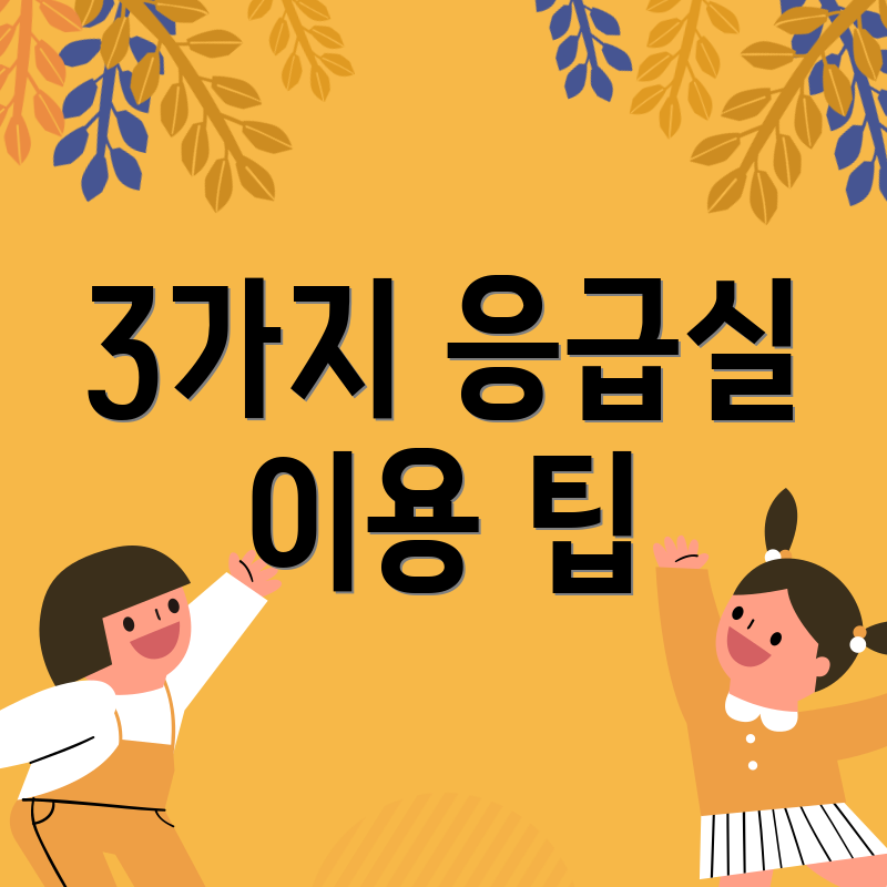 3가지 응급실 이용 팁