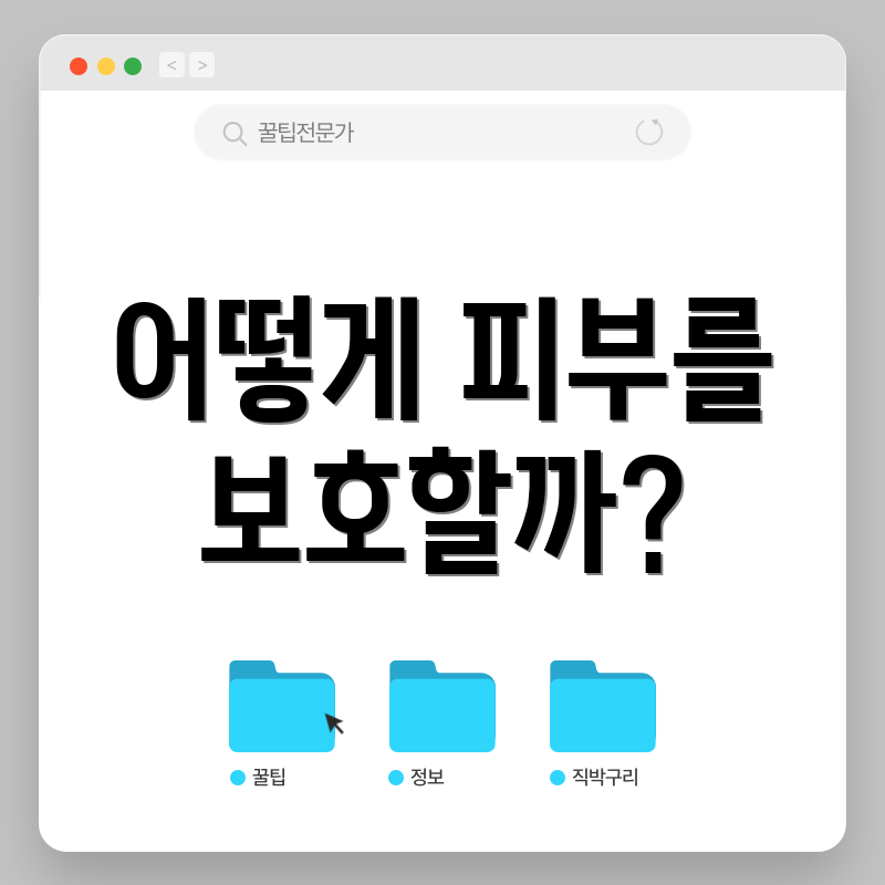 어떻게 피부를 보호할까?