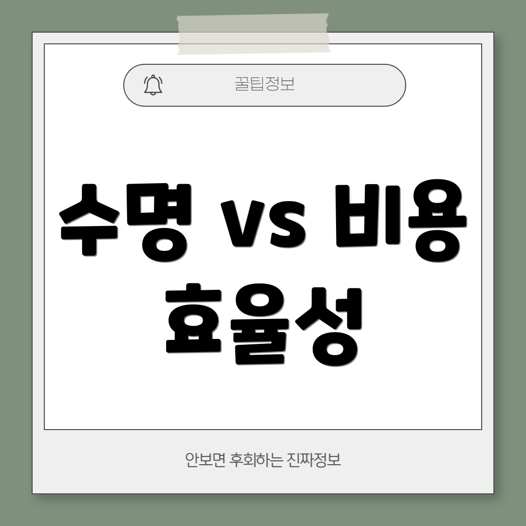 수명 vs 비용 효율성
