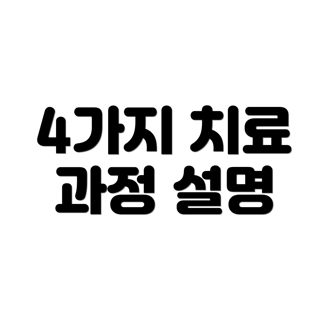 4가지 치료 과정 설명