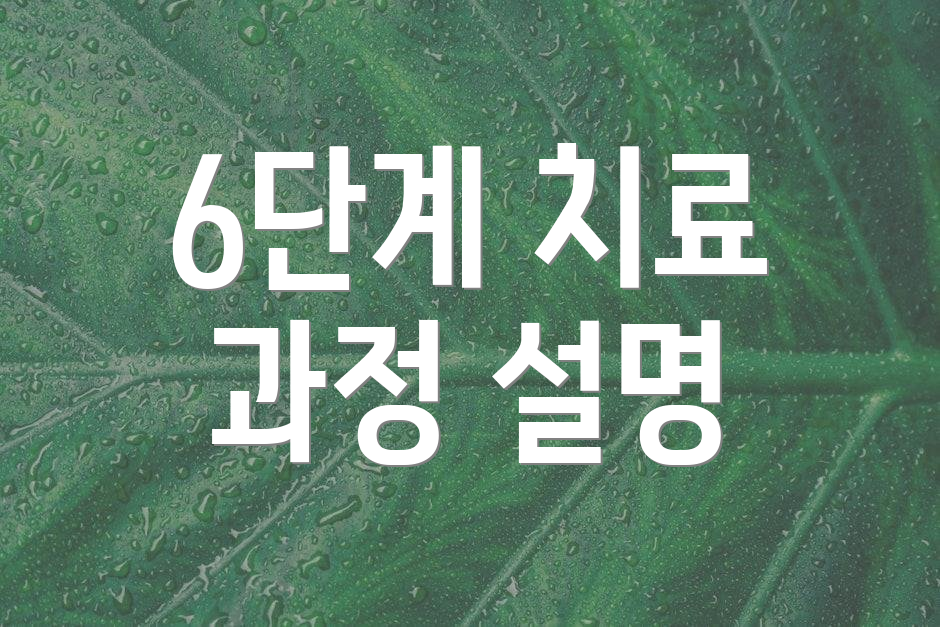 6단계 치료 과정 설명