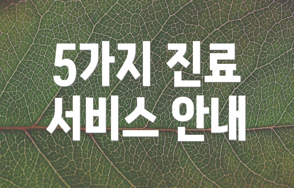 5가지 진료 서비스 안내