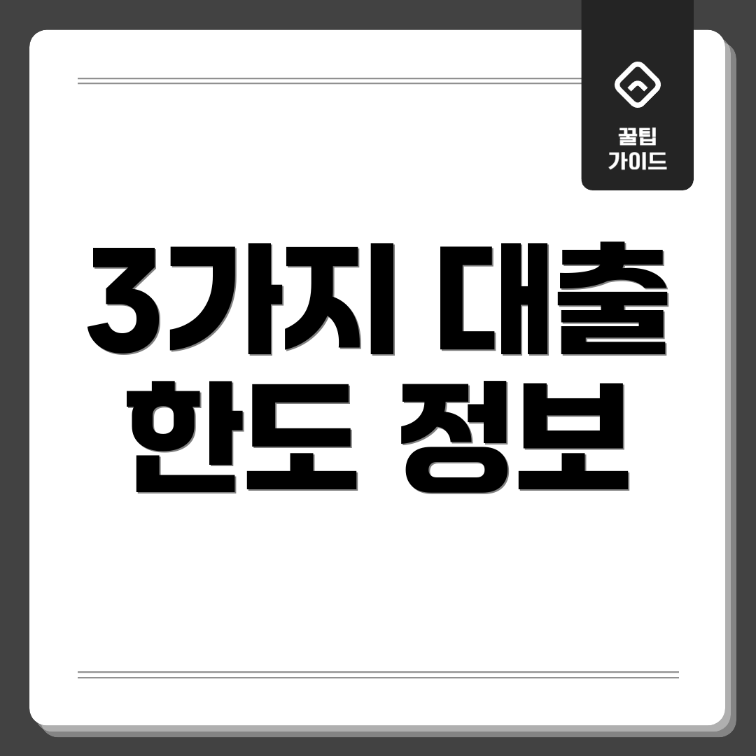 3가지 대출 한도 정보