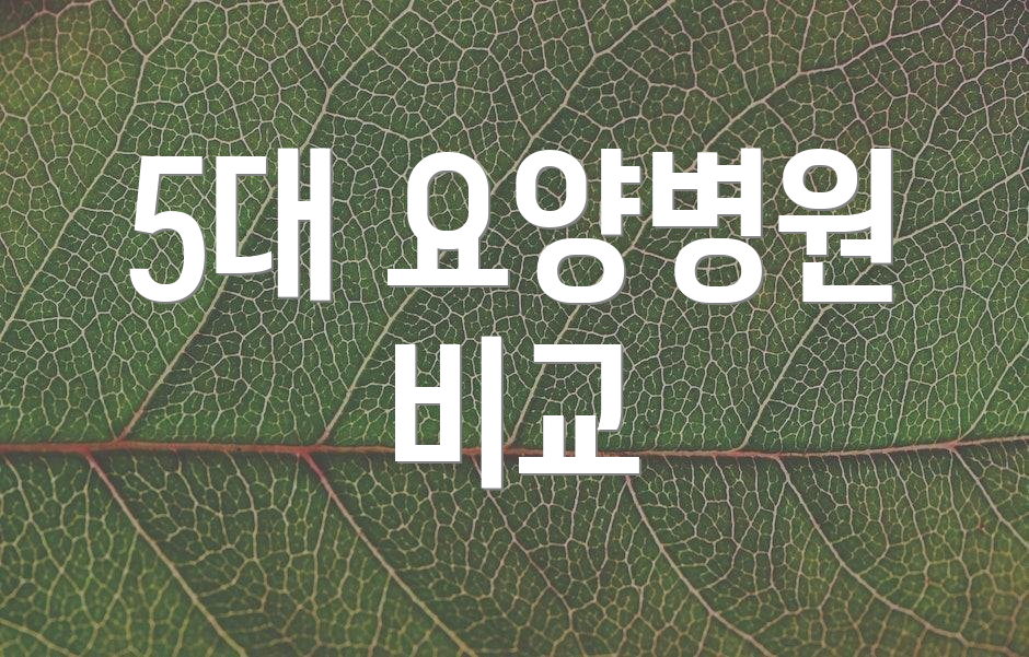 5대 요양병원 비교