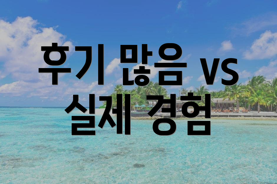 후기 많음 vs 실제 경험