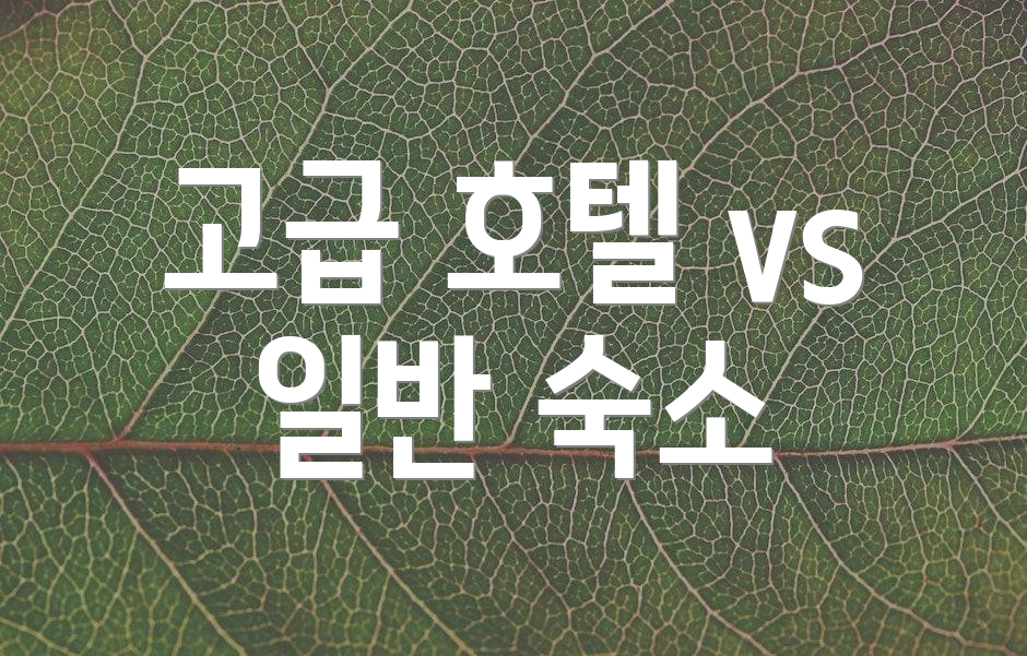 고급 호텔 vs 일반 숙소