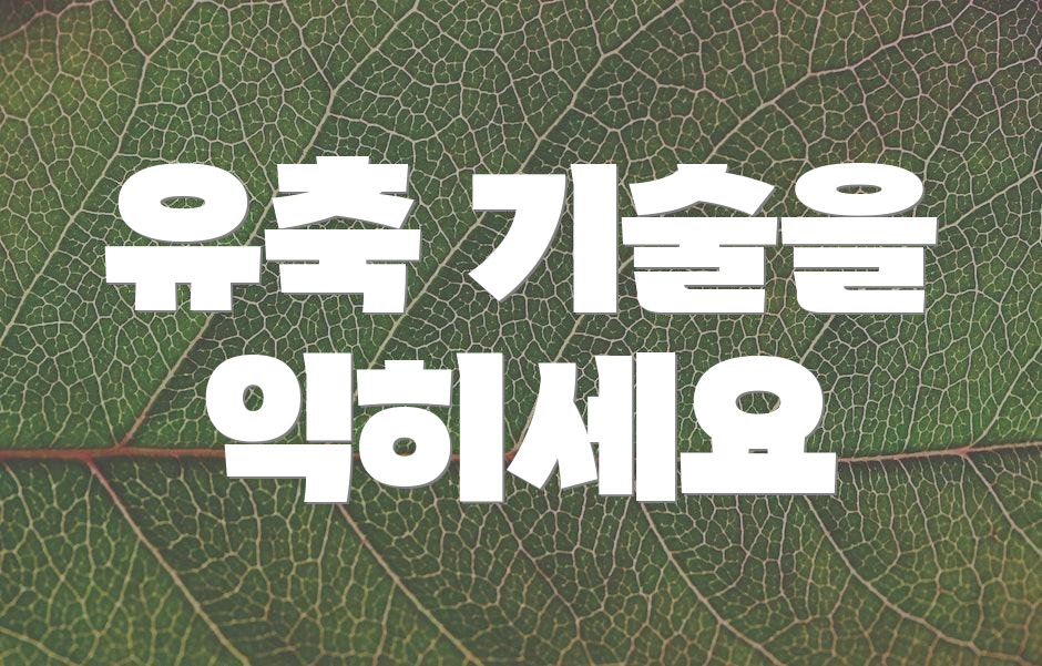유축 기술을 익히세요