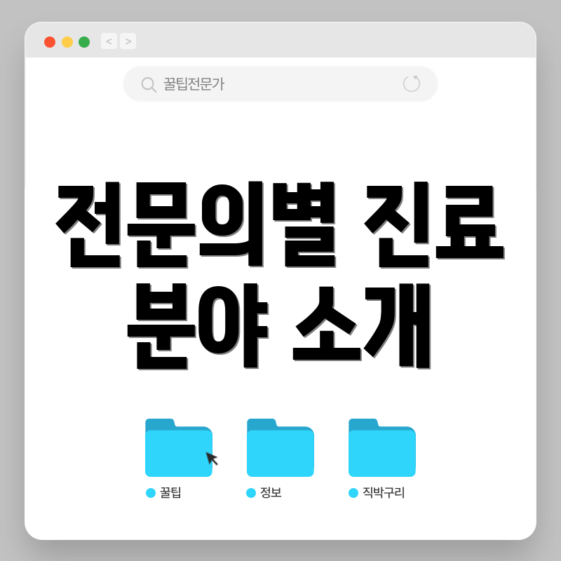 전문의별 진료 분야 소개