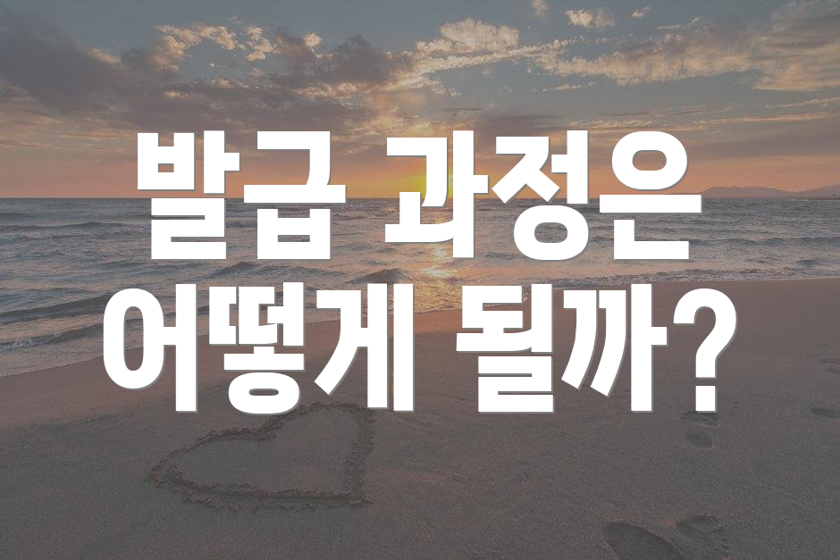 발급 과정은 어떻게 될까?