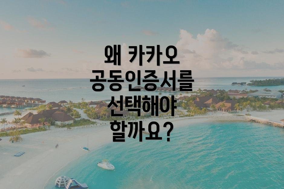 왜 카카오 공동인증서를 선택해야 할까요?