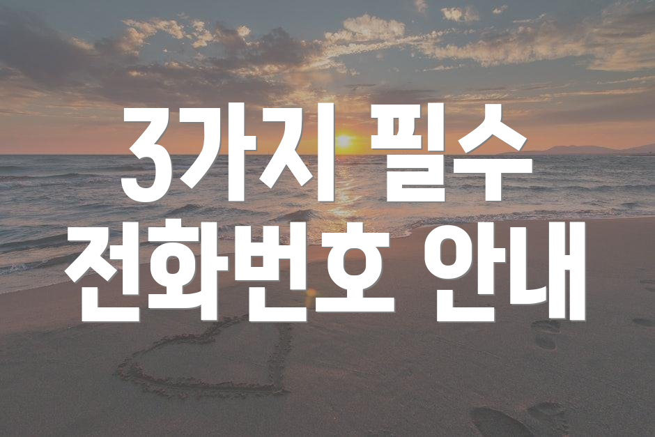 3가지 필수 전화번호 안내