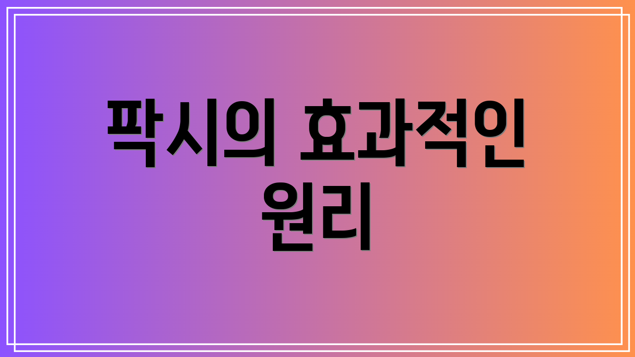 팍시의 효과적인 원리