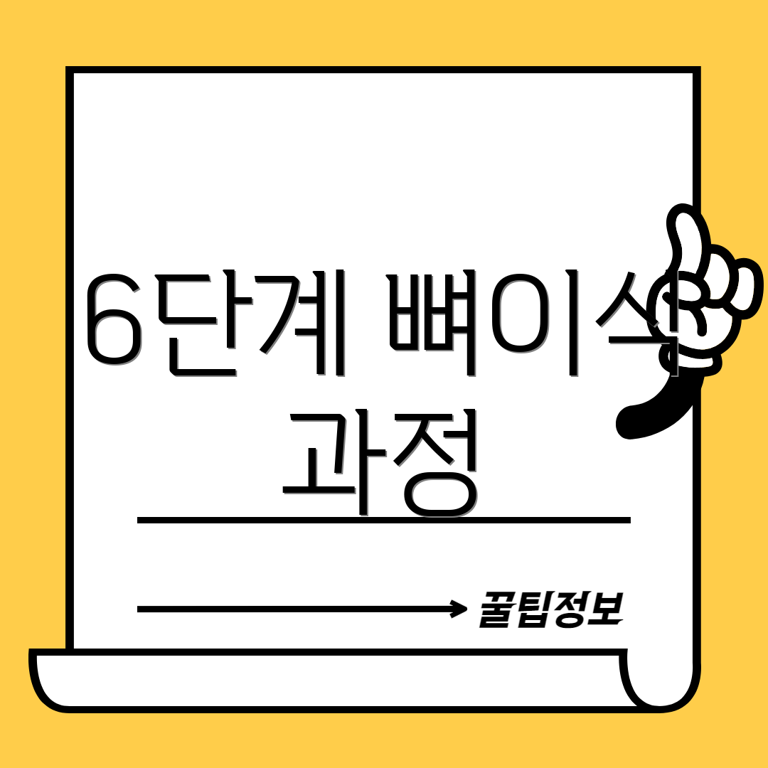 6단계 뼈이식 과정