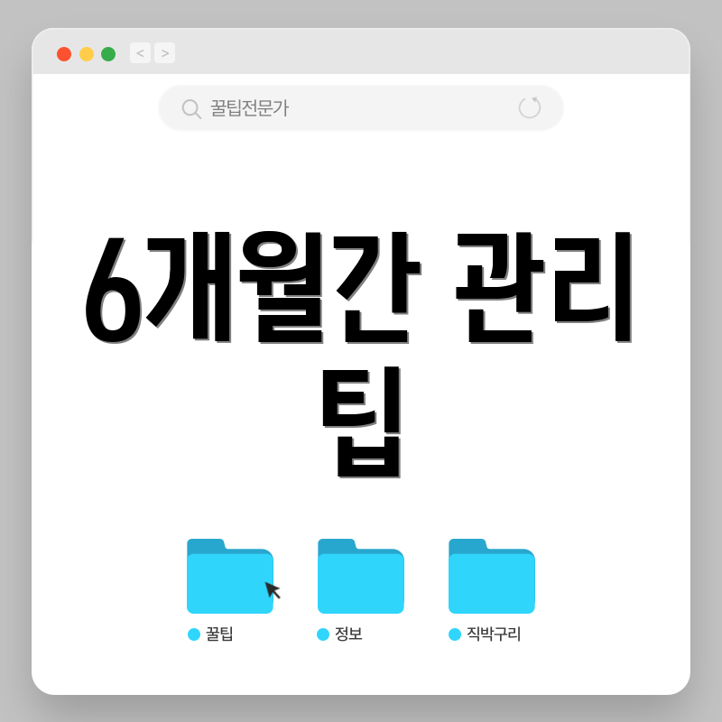 6개월간 관리 팁