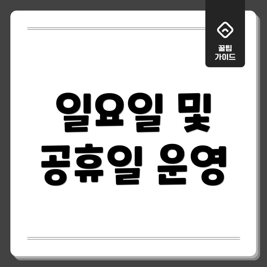 일요일 및 공휴일 운영