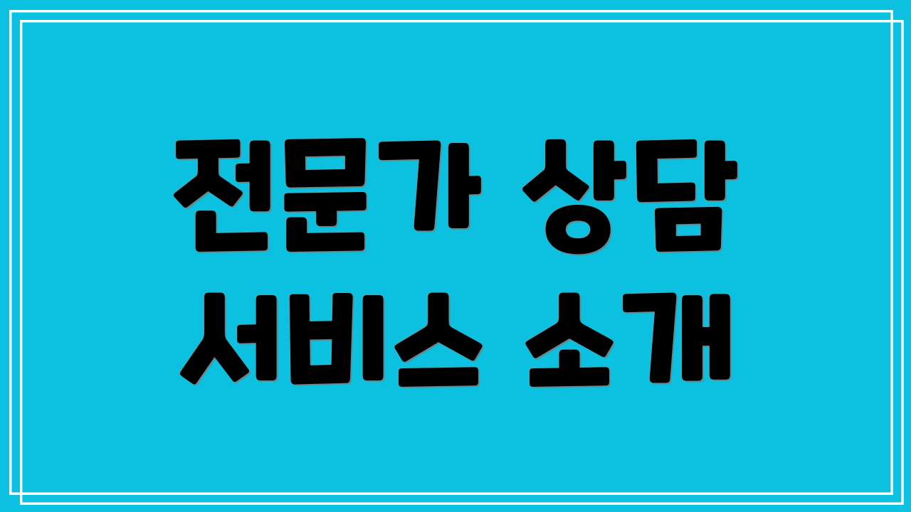 전문가 상담 서비스 소개