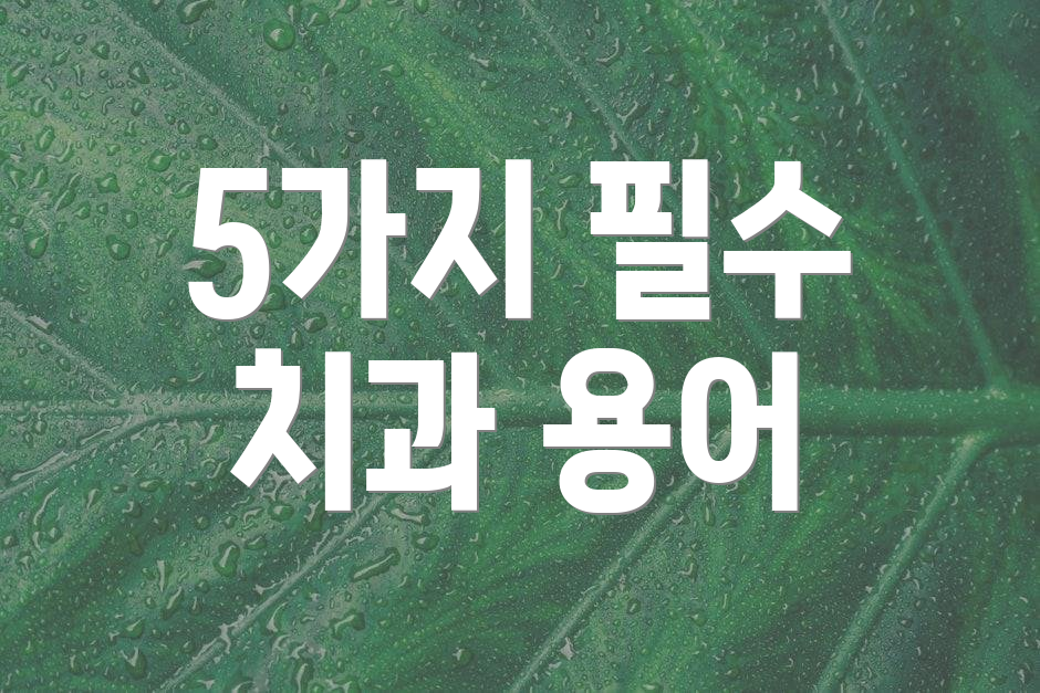 5가지 필수 치과 용어