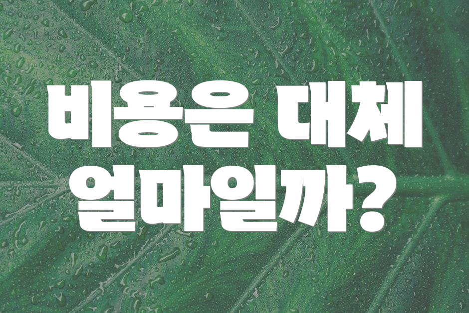 비용은 대체 얼마일까?
