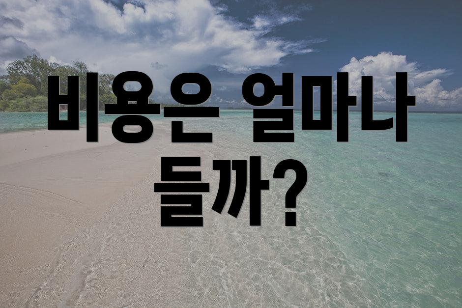 비용은 얼마나 들까?