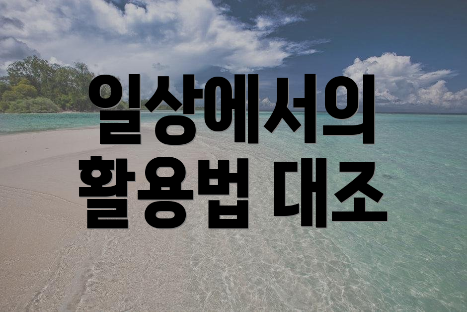 일상에서의 활용법 대조