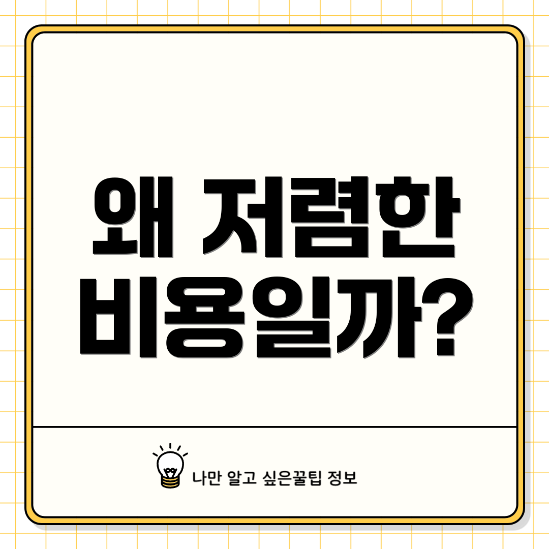 왜 저렴한 비용일까?