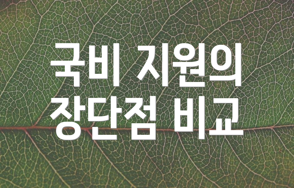 국비 지원의 장단점 비교