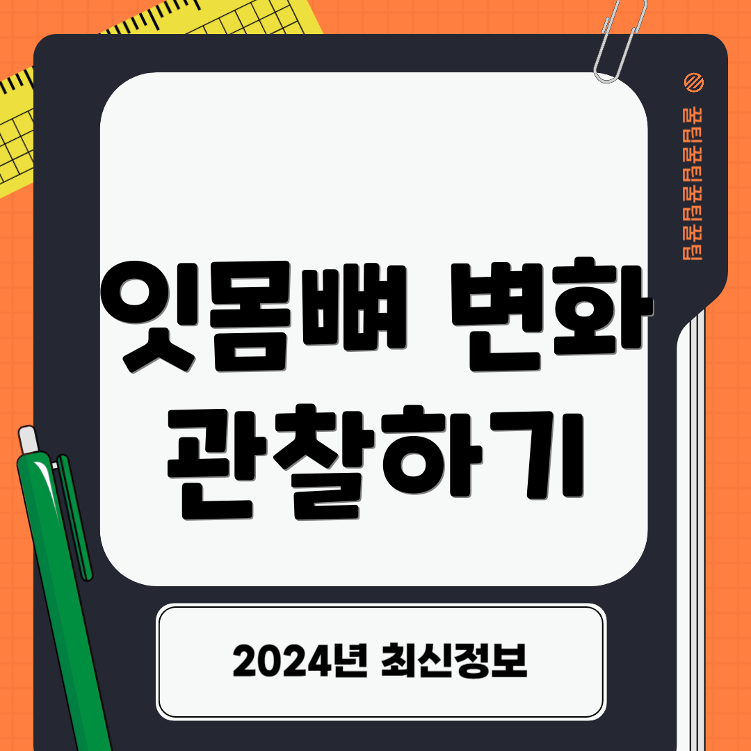 잇몸뼈 변화 관찰하기