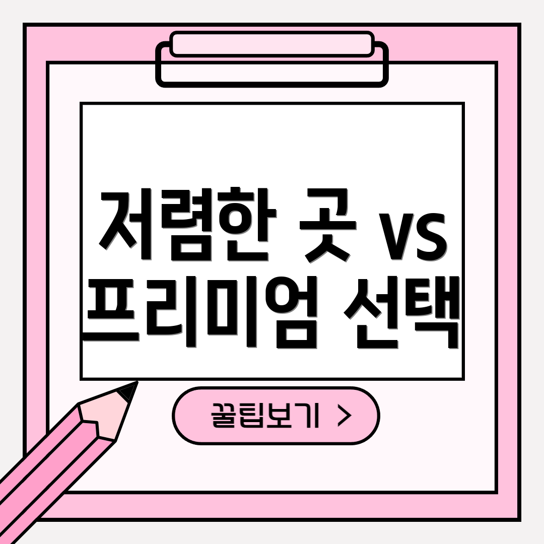 저렴한 곳 vs 프리미엄 선택