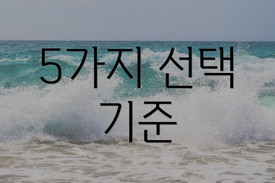 5가지 선택 기준