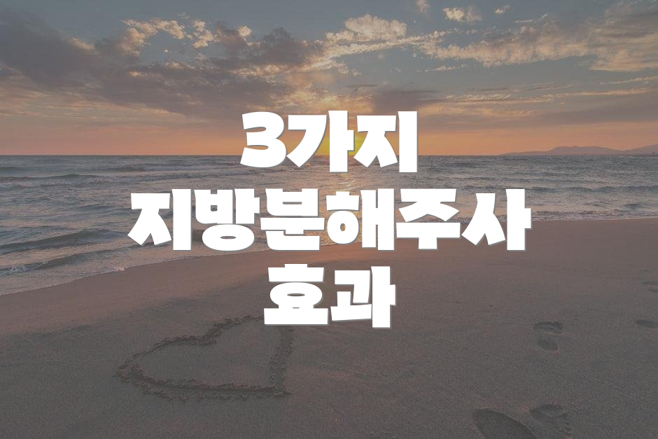 3가지 지방분해주사 효과