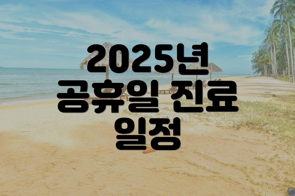 2025년 공휴일 진료 일정