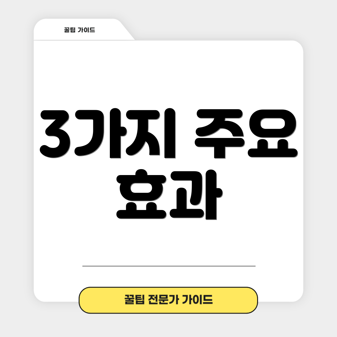 3가지 주요 효과