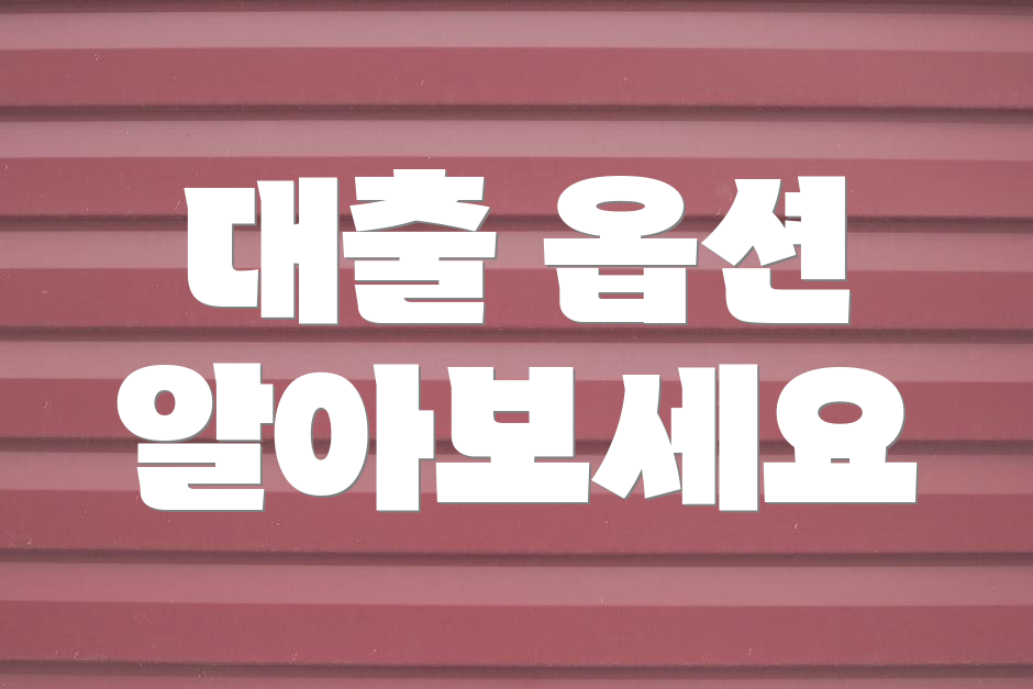 대출 옵션 알아보세요