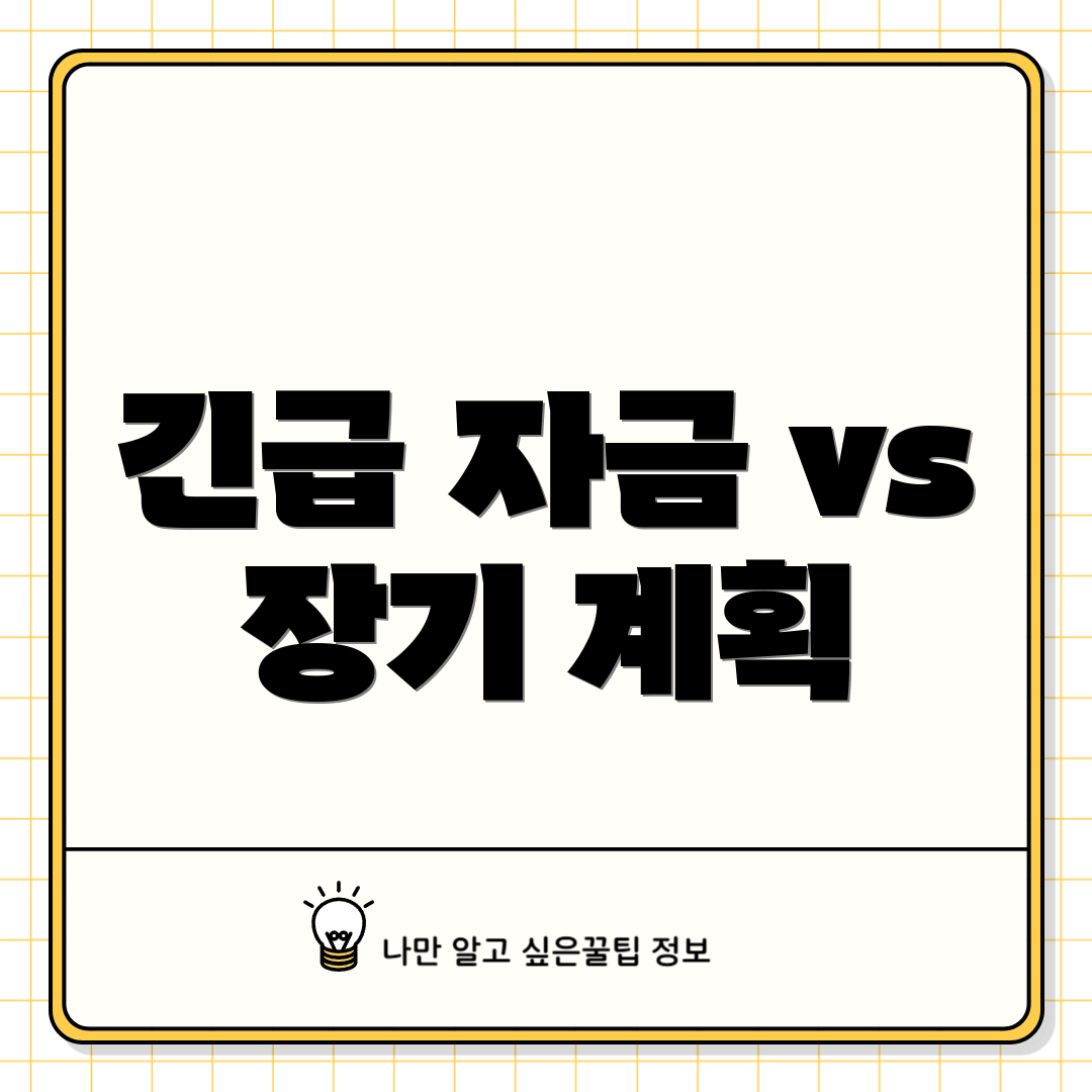 긴급 자금 vs 장기 계획