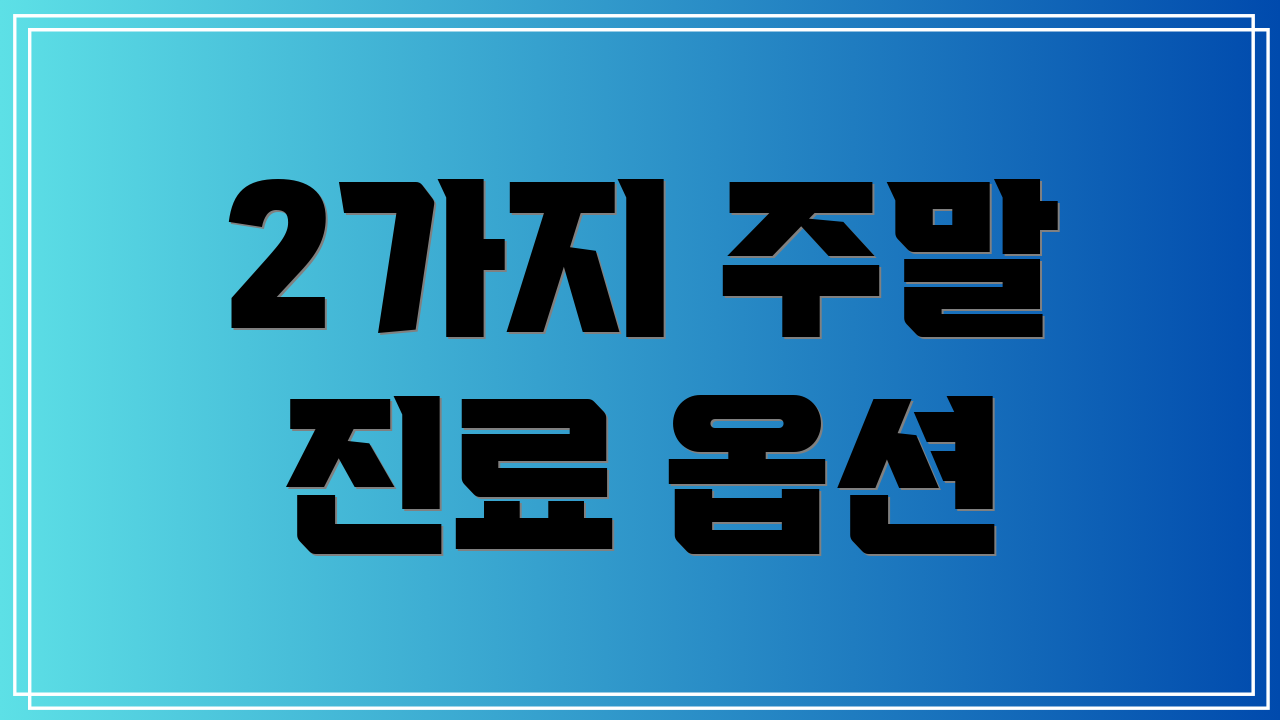 2가지 주말 진료 옵션