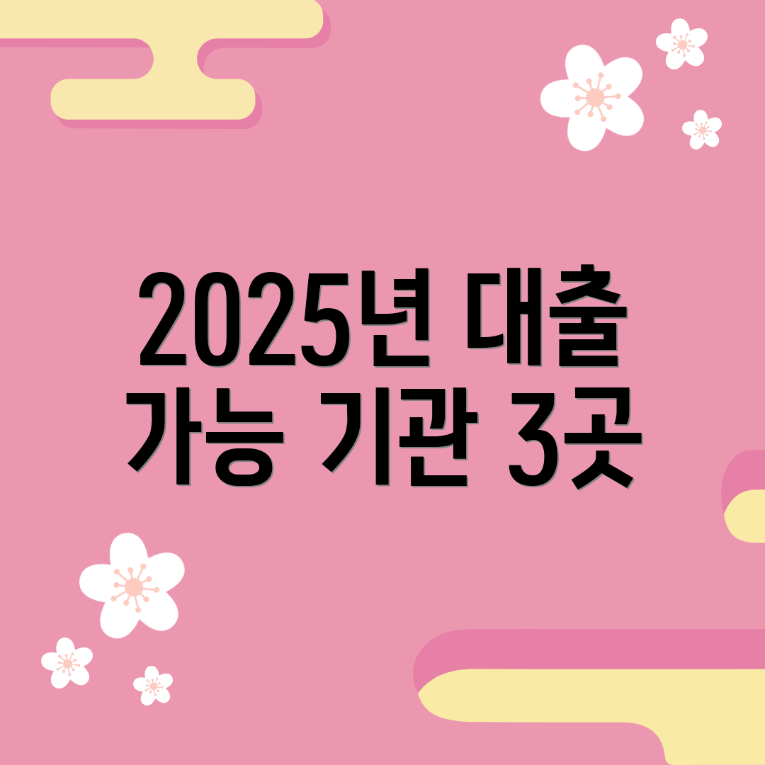 2025년 대출 가능 기관 3곳