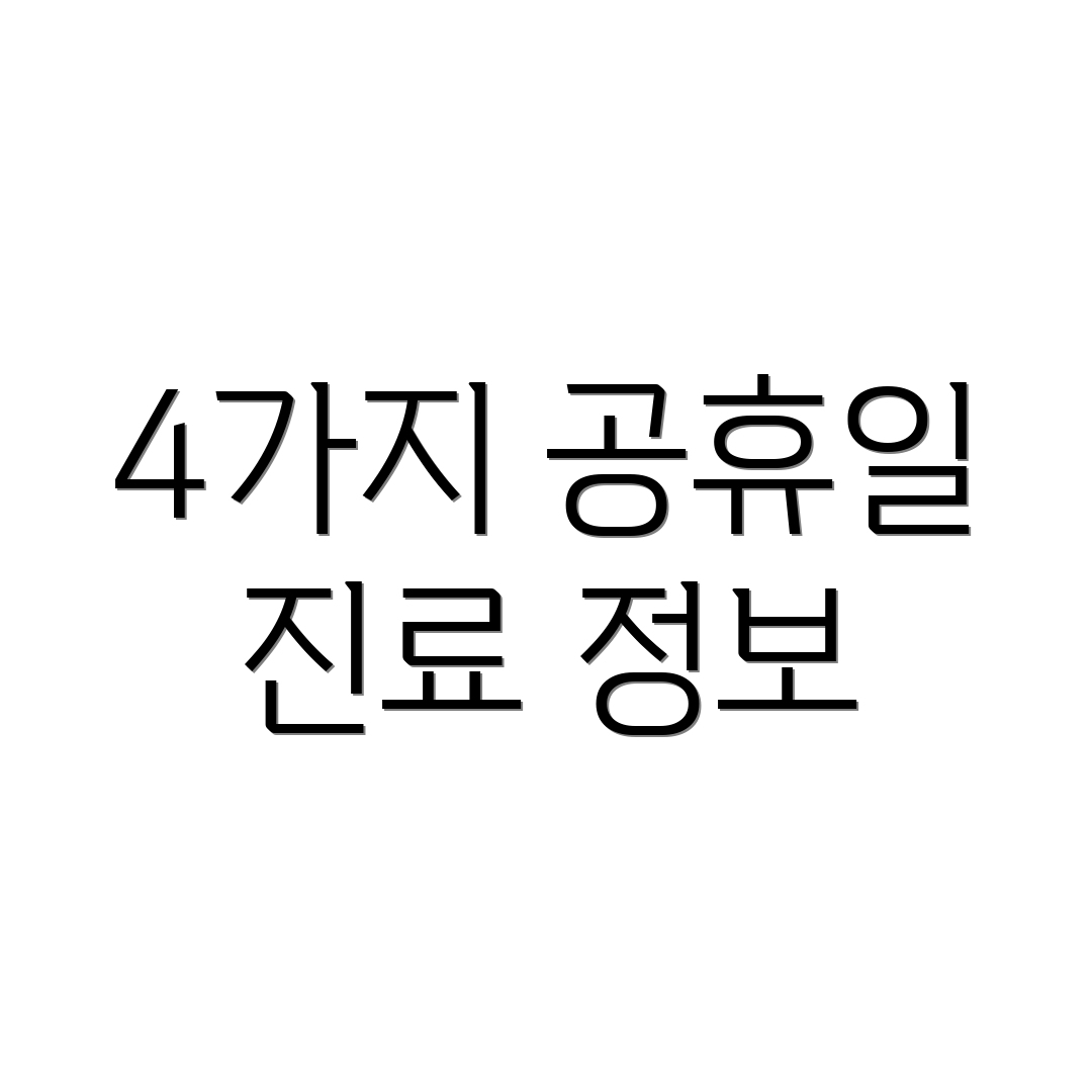 4가지 공휴일 진료 정보