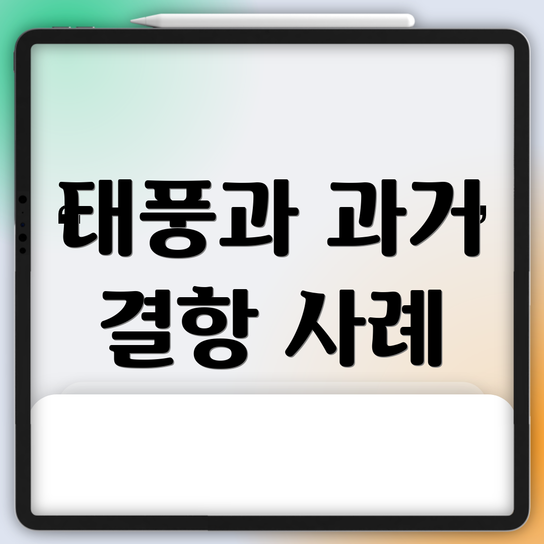태풍과 과거 결항 사례