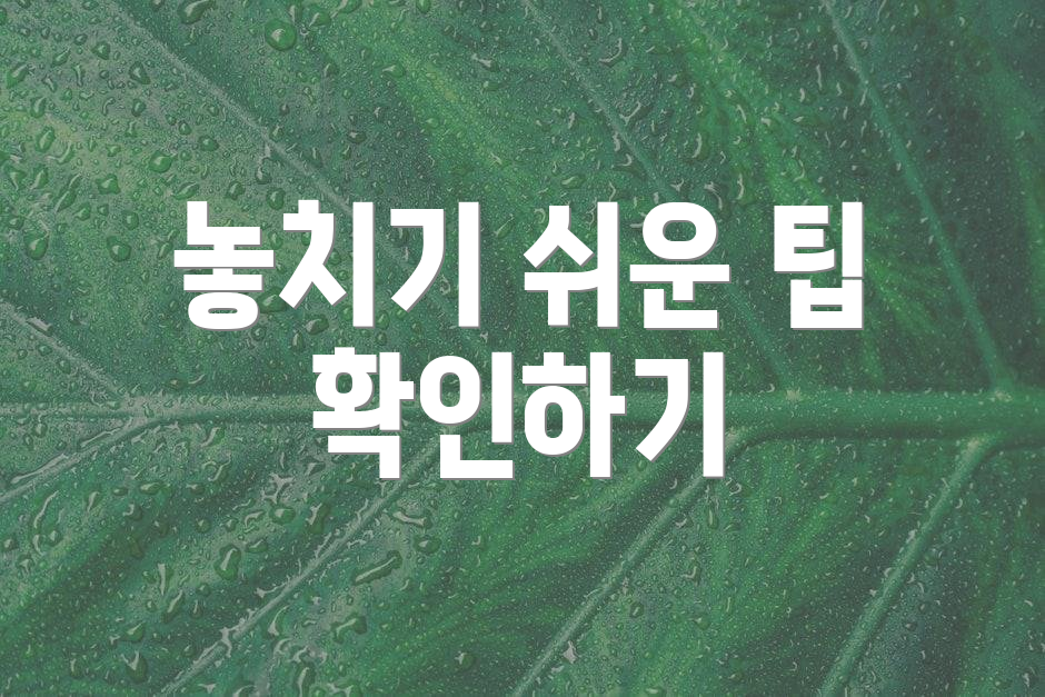 놓치기 쉬운 팁 확인하기