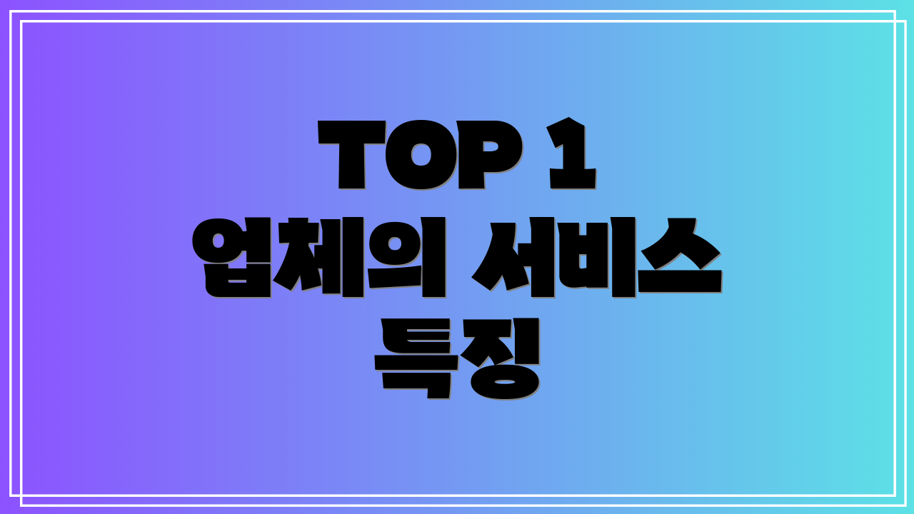 TOP 1 업체의 서비스 특징