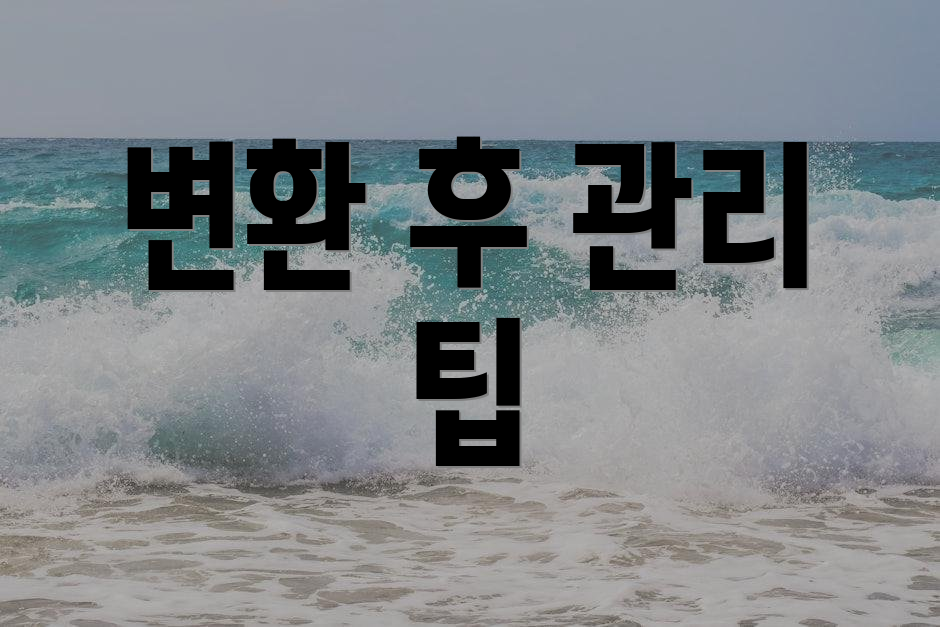 변환 후 관리 팁