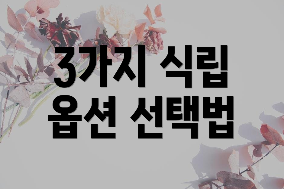 3가지 식립 옵션 선택법